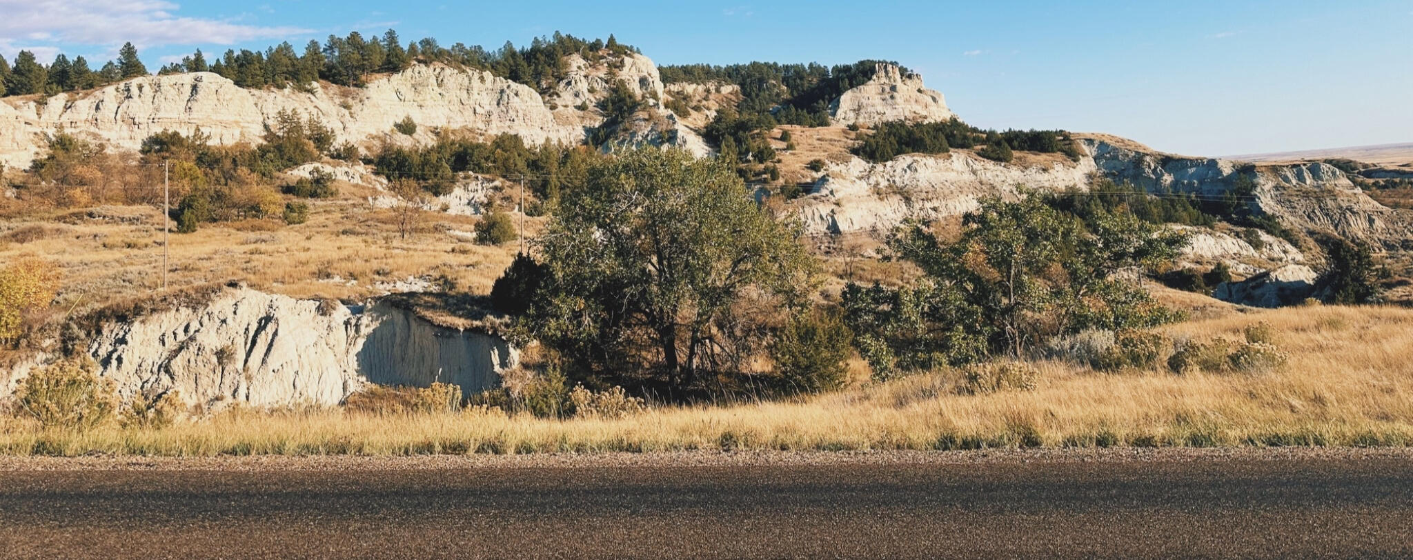 Black Hills Landscape